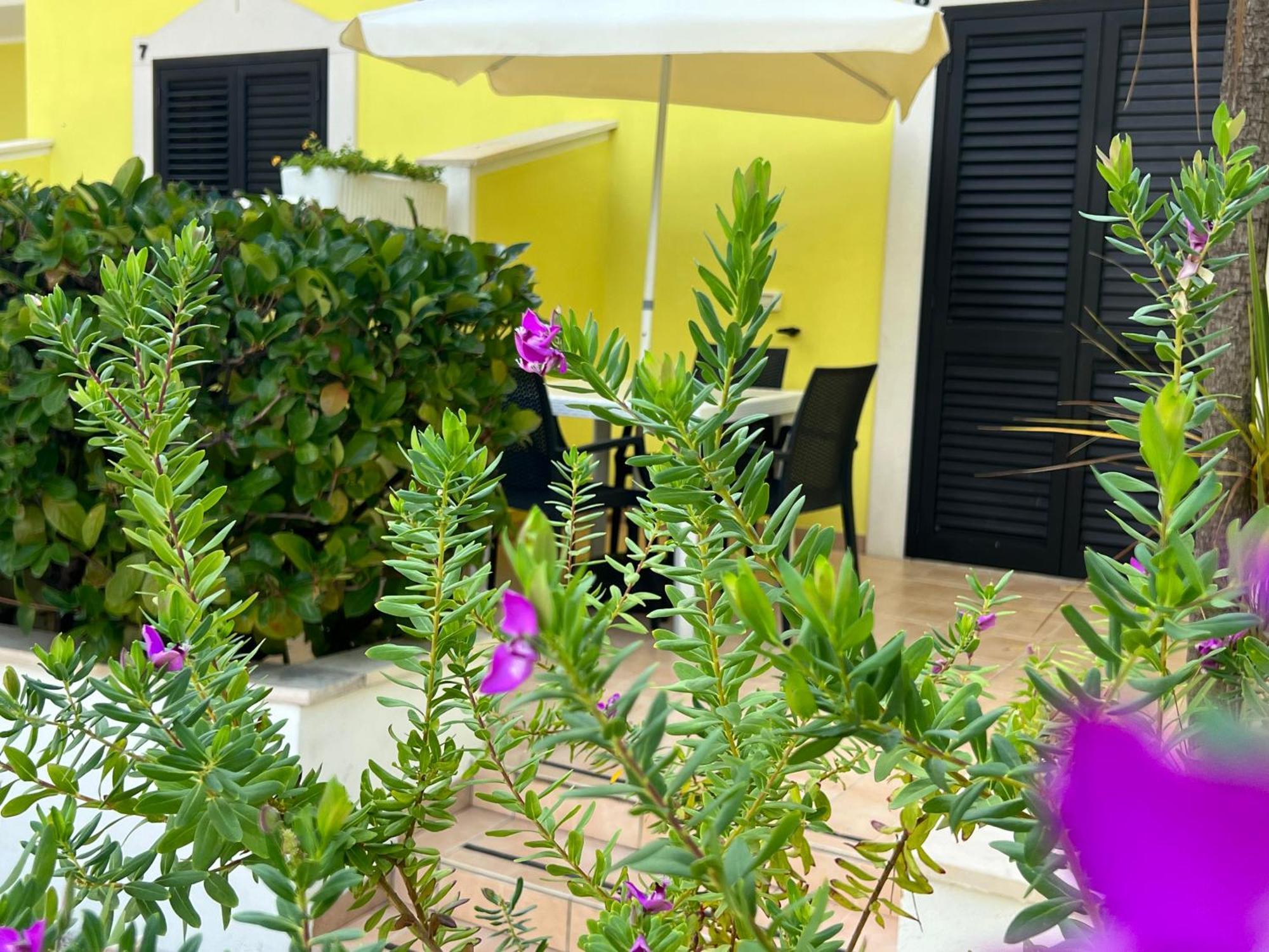 Argeste Club Vacanze Vieste Eksteriør bilde